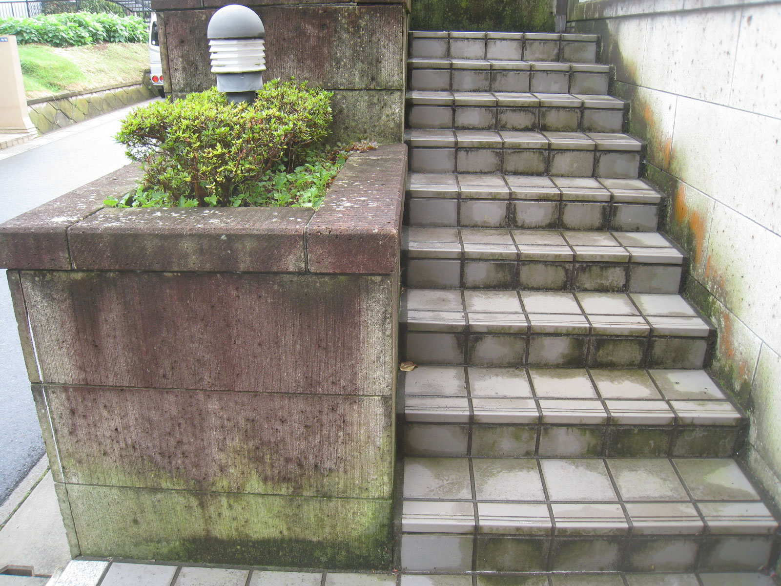 門柱と塀の黒ずみ 施工前